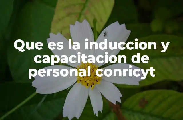 Que es la Induccion y Capacitacion de Personal Conricyt