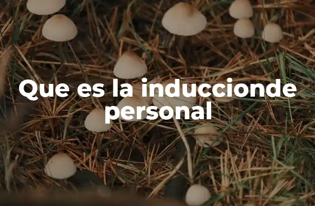 Que es la Induccionde Personal