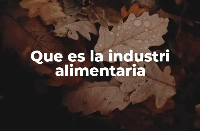 Que es la Industri Alimentaria