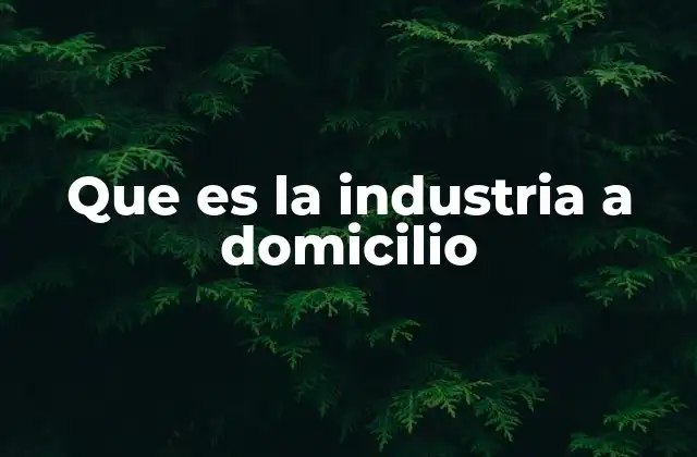 Que es la Industria a Domicilio