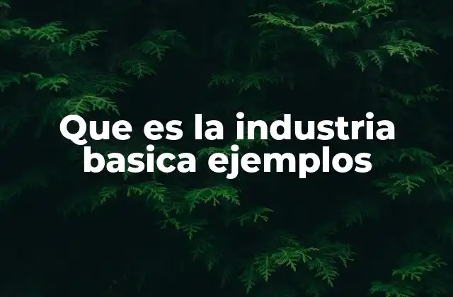 Que es la Industria Basica Ejemplos