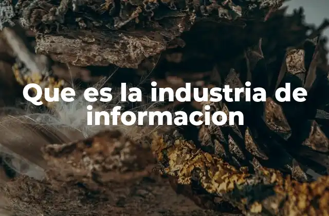 Que es la Industria de Informacion