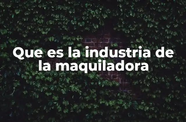 Que es la Industria de la Maquiladora