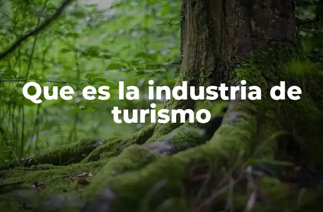 Que es la Industria de Turismo