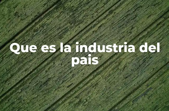 Que es la Industria Del Pais