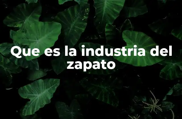 Que es la Industria Del Zapato