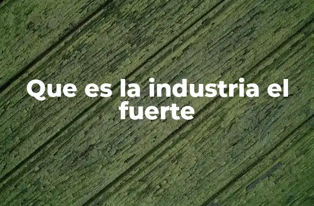 Que es la Industria el Fuerte 2 Origen y evolución de una marca con sabor