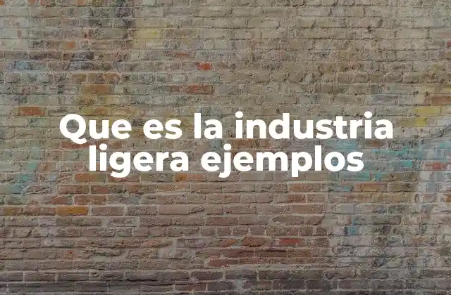 Que es la Industria Ligera Ejemplos