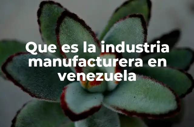 Que es la Industria Manufacturera en Venezuela