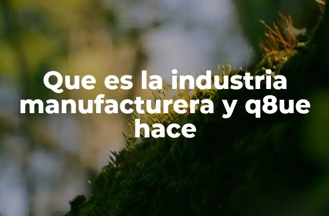 Que es la Industria Manufacturera y Q8ue Hace
