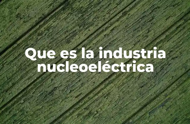 Que es la Industria Nucleoeléctrica