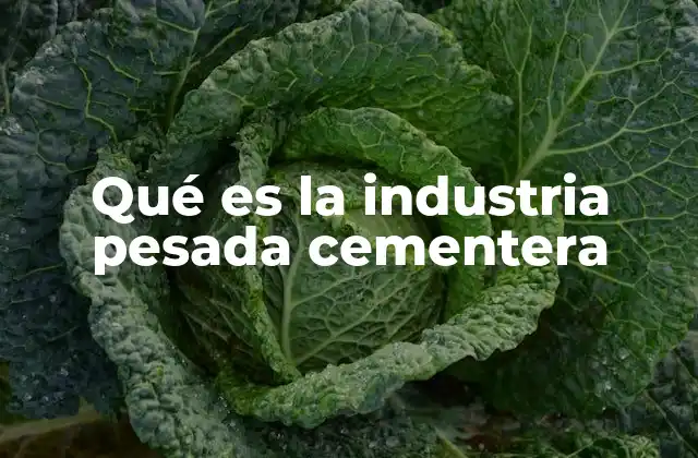 Qué es la Industria Pesada Cementera