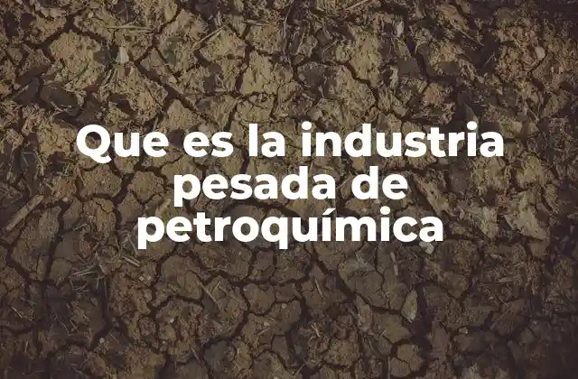 Que es la Industria Pesada de Petroquímica