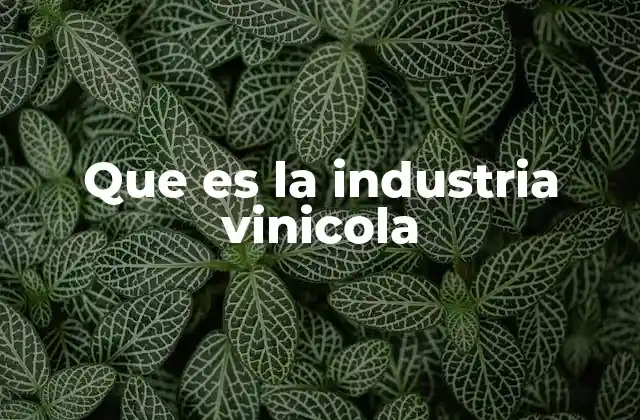 Que es la Industria Vinicola
