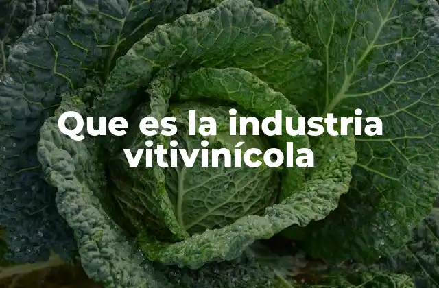 Que es la Industria Vitivinícola