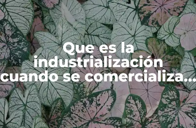 Que es la Industrialización Cuando Se Comercializa en el Mexico