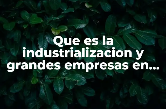 Que es la Industrializacion y Grandes Empresas en el Desarrollo