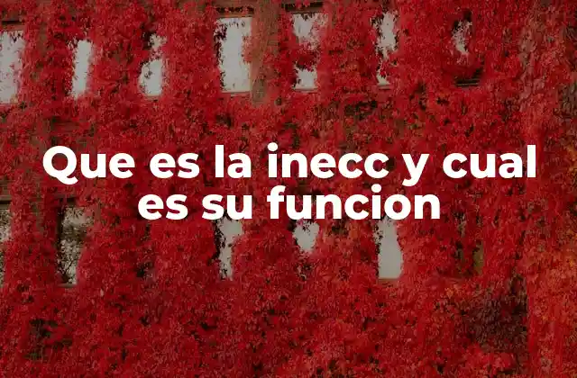 Que es la Inecc y Cual es Su Funcion