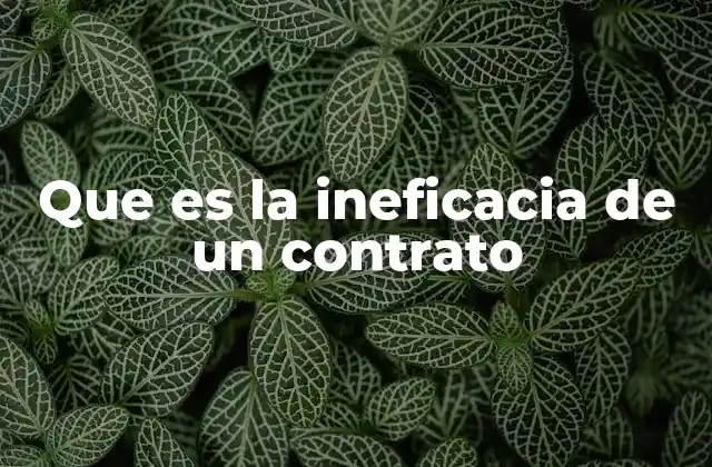 Que es la Ineficacia de un Contrato