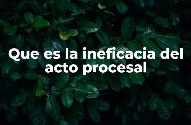 Que es la Ineficacia Del Acto Procesal