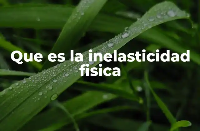 Que es la Inelasticidad Fisica