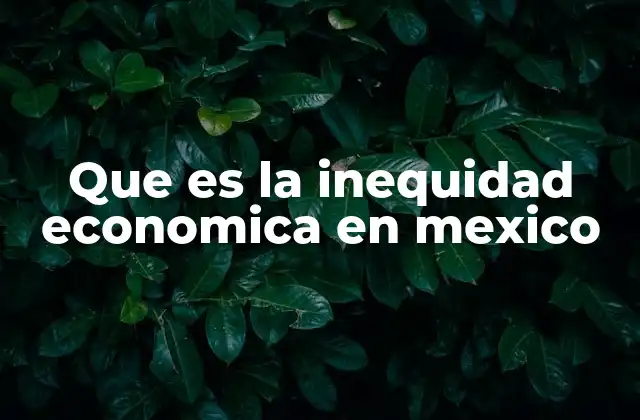 Que es la Inequidad Economica en Mexico