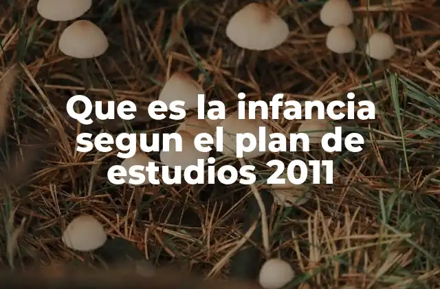 Que es la Infancia Segun el Plan de Estudios 2011