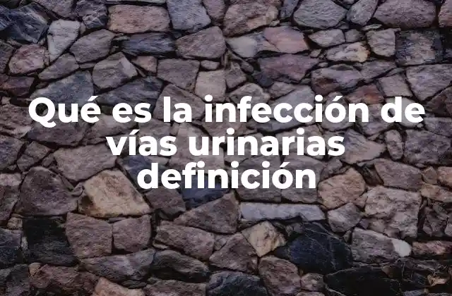 Qué es la Infección de Vías Urinarias Definición