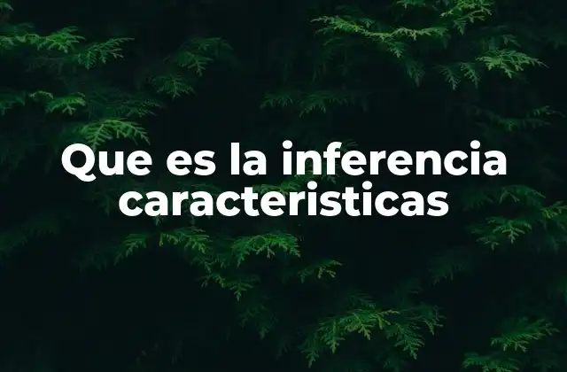 Que es la Inferencia Caracteristicas