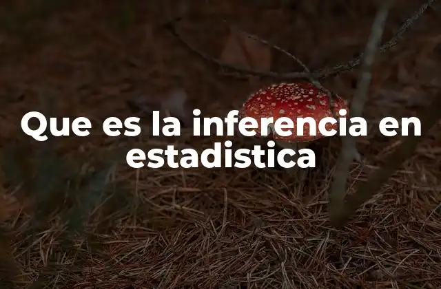 Que es la Inferencia en Estadistica