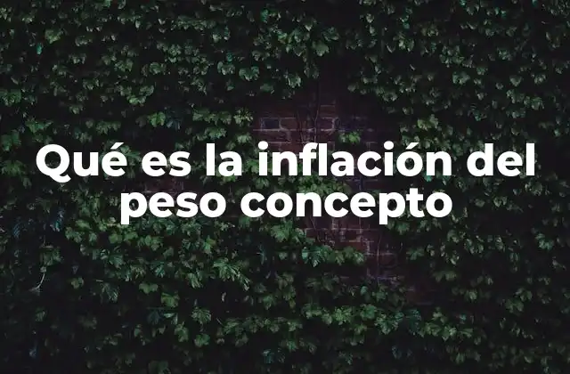 Qué es la Inflación Del Peso Concepto