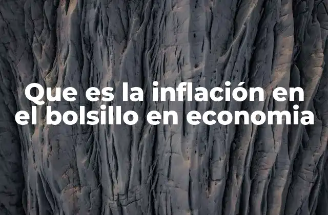 Que es la Inflación en el Bolsillo en Economia