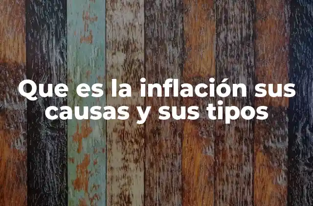 Que es la Inflación Sus Causas y Sus Tipos 2 Cómo se manifiesta la inflación en la economía