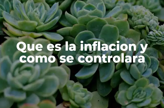 Causas y factores que impulsan la inflación