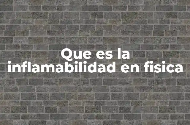 Que es la Inflamabilidad en Fisica