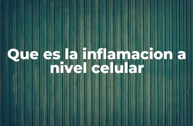 Que es la Inflamacion a Nivel Celular