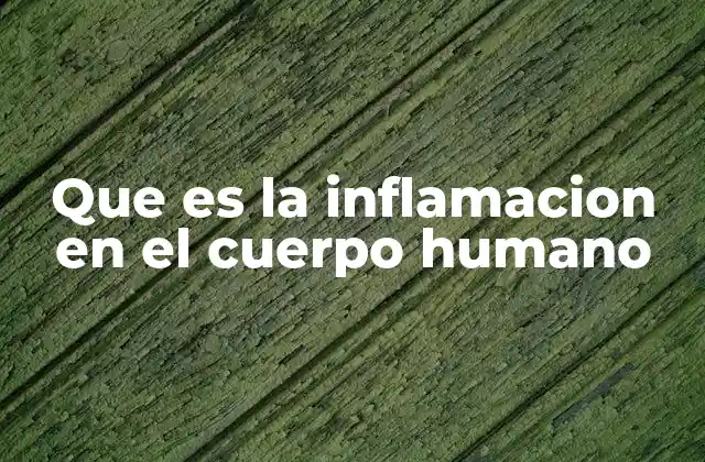 La respuesta inmunológica y el papel de la inflamación
