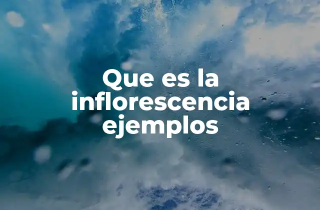 La organización floral en el mundo vegetal