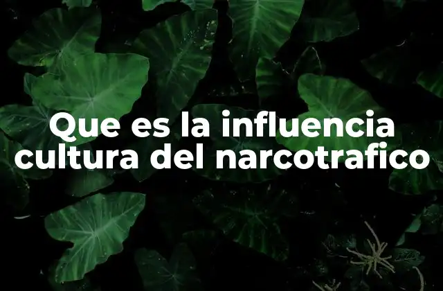 Que es la Influencia Cultura Del Narcotrafico