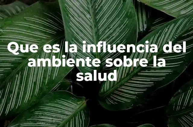 Que es la Influencia Del Ambiente sobre la Salud