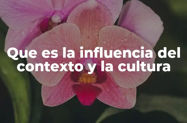 Que es la Influencia Del Contexto y la Cultura