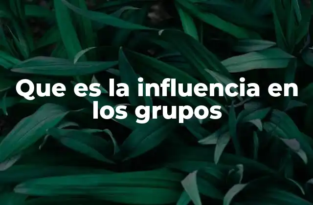 Que es la Influencia en los Grupos