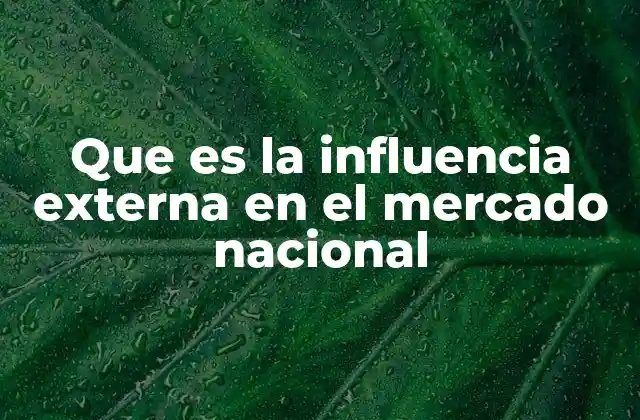 Que es la Influencia Externa en el Mercado Nacional