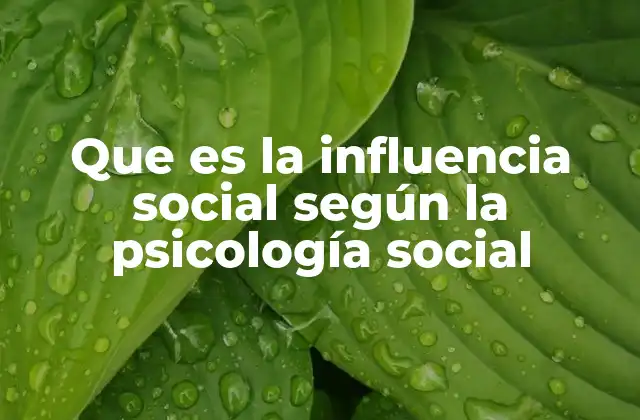 Que es la Influencia Social según la Psicología Social