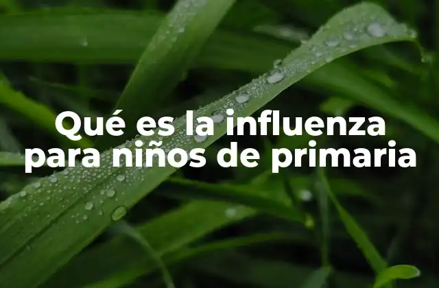 Qué es la Influenza para Niños de Primaria