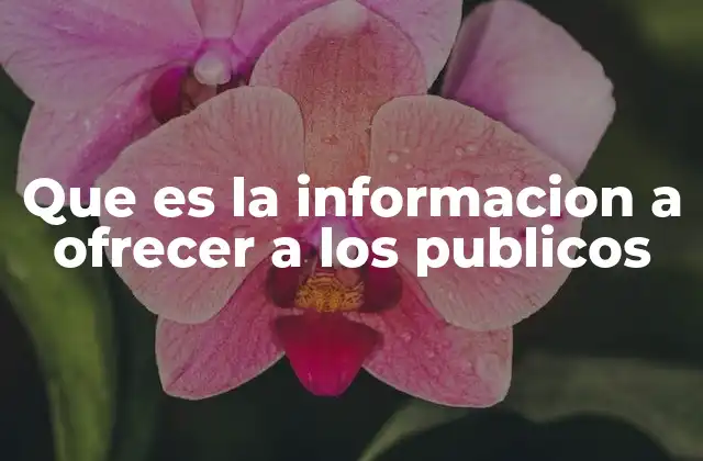 Que es la Informacion a Ofrecer a los Publicos