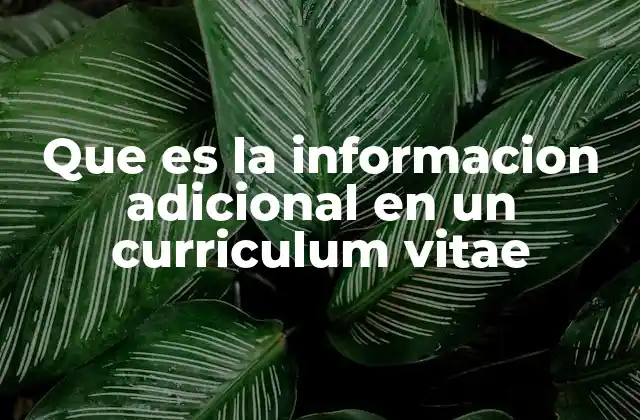 La importancia de incluir información complementaria en tu currículum