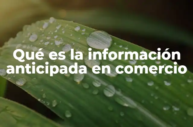 Qué es la Información Anticipada en Comercio