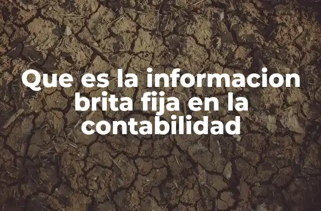 Que es la Informacion Brita Fija en la Contabilidad