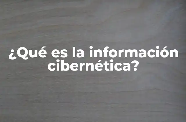 ¿qué es la Información Cibernética?